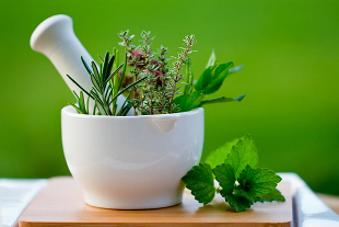 How to fight the disease with herbs